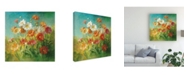 Trademark Global Danhui Nai Painted Daisies Canvas Art - 36.5" x 48"